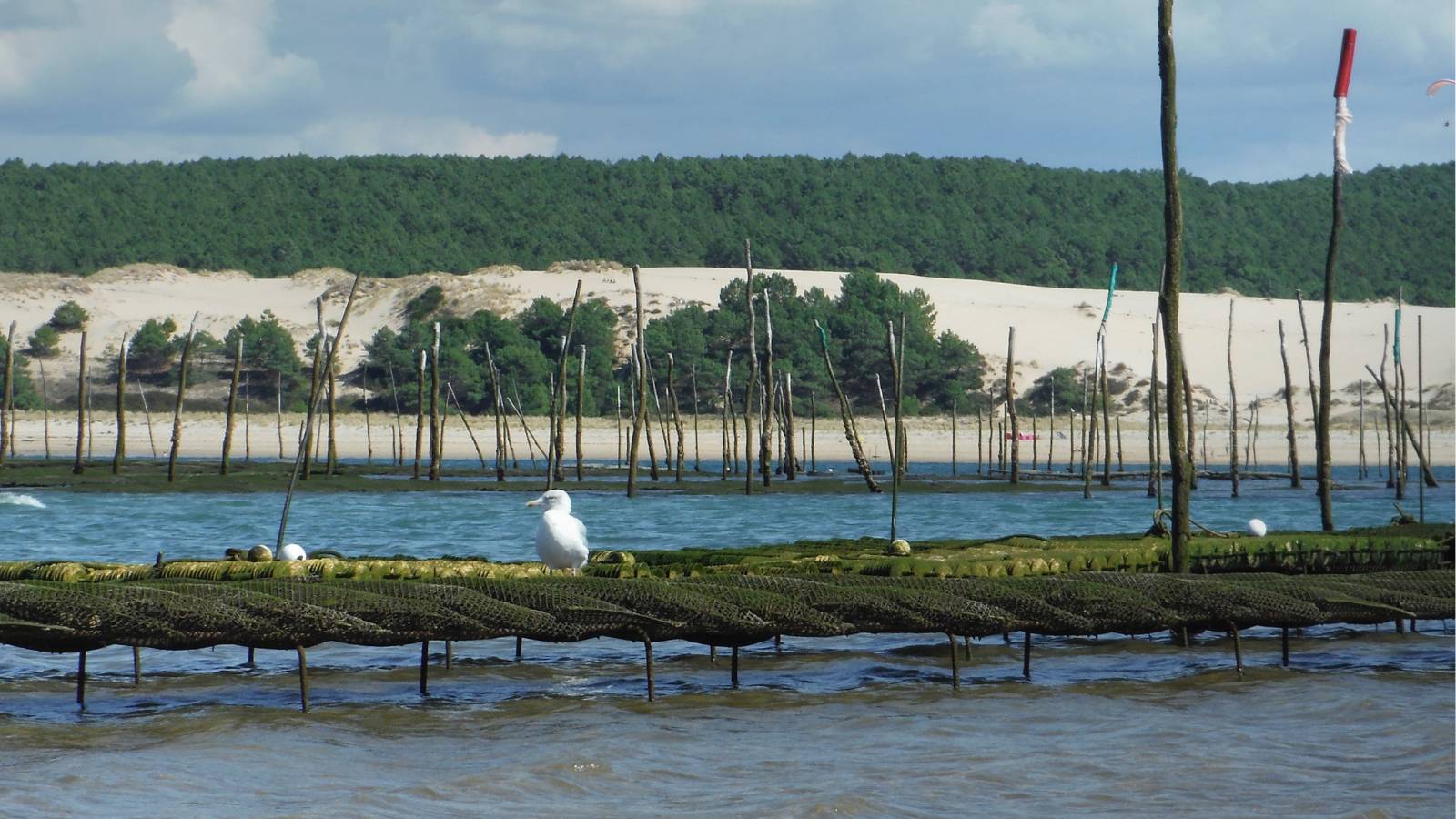 reserve-naturelle-pres-sales